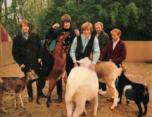 The-Beach-Boys-the-beach-boys-33528071-500-386