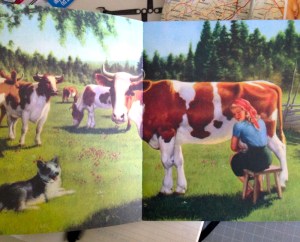 FullSizeRender 4 kopia